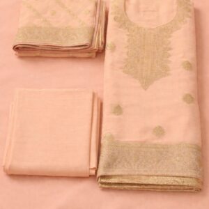 Banarsi suit with orgenza